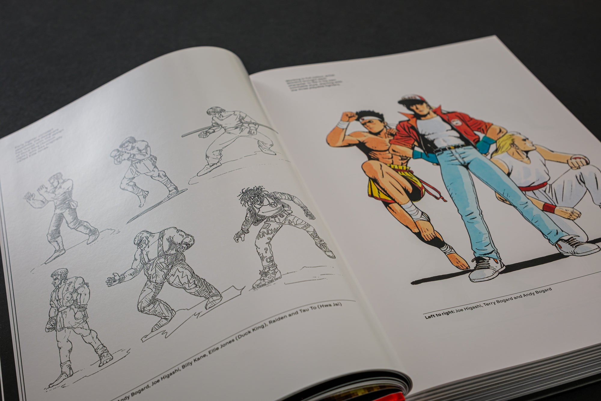 Fatal Fury/Garou Densetsu: The Ultimate History
