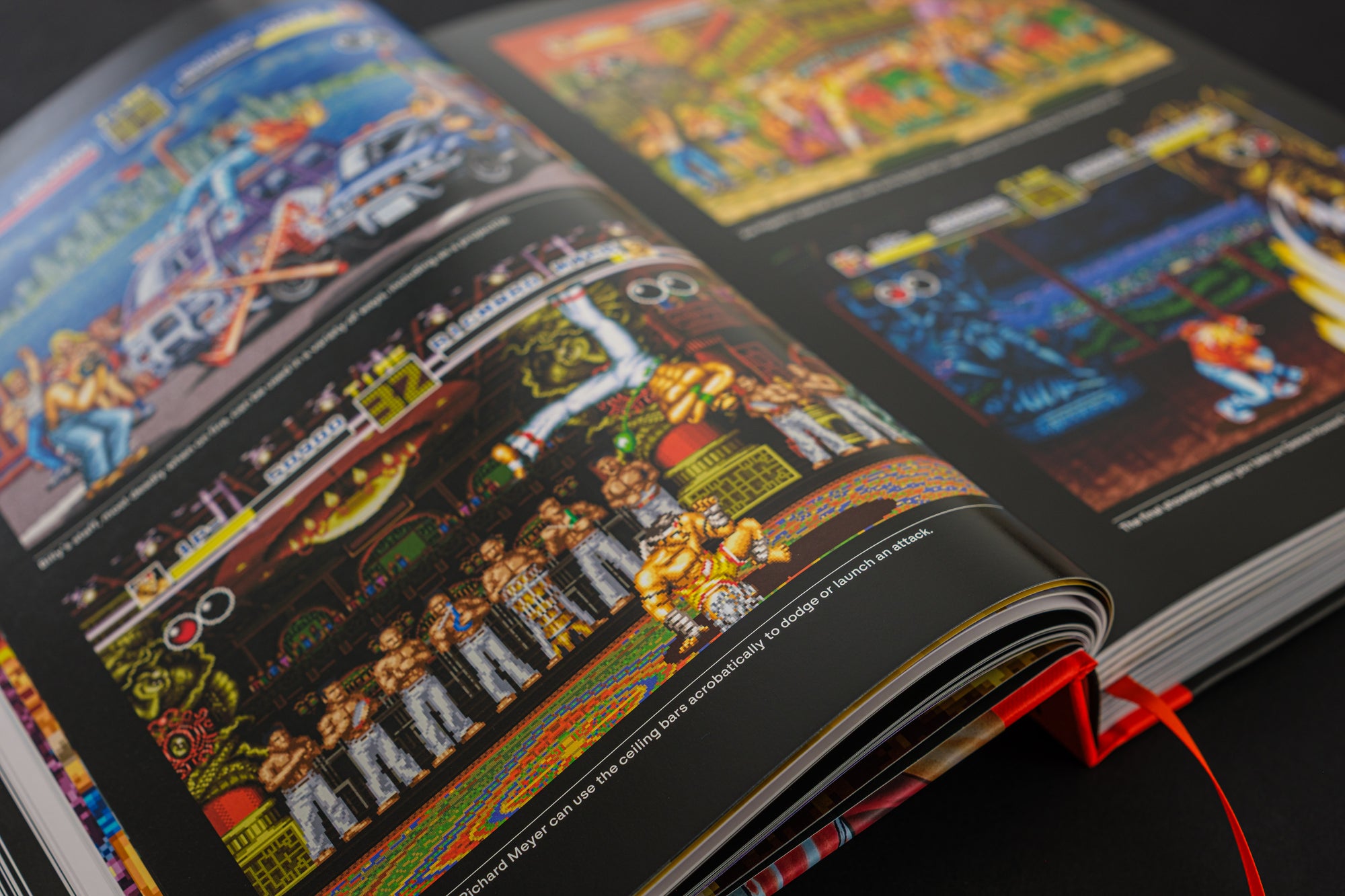 Fatal Fury/Garou Densetsu: The Ultimate History