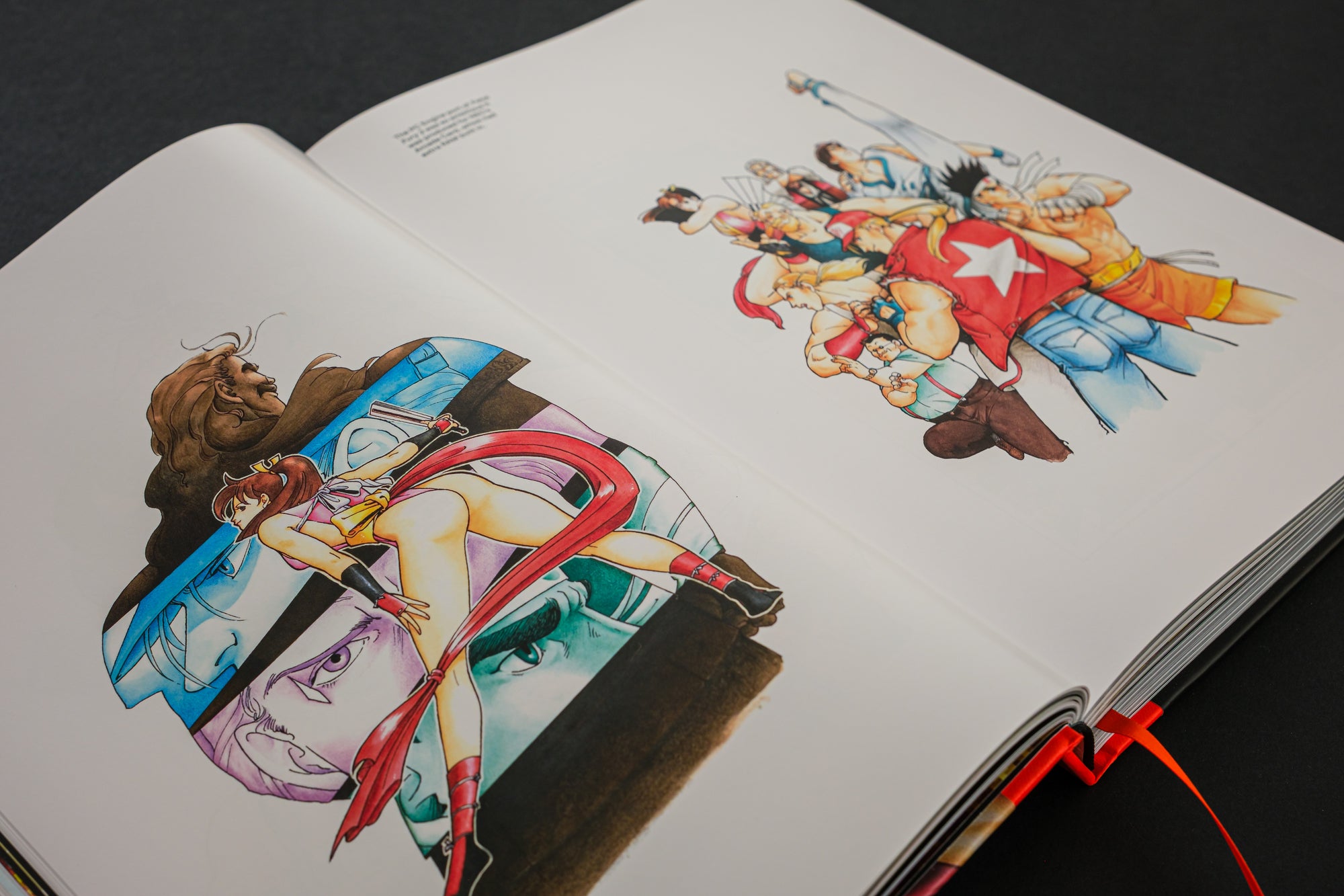 Fatal Fury/Garou Densetsu: The Ultimate History