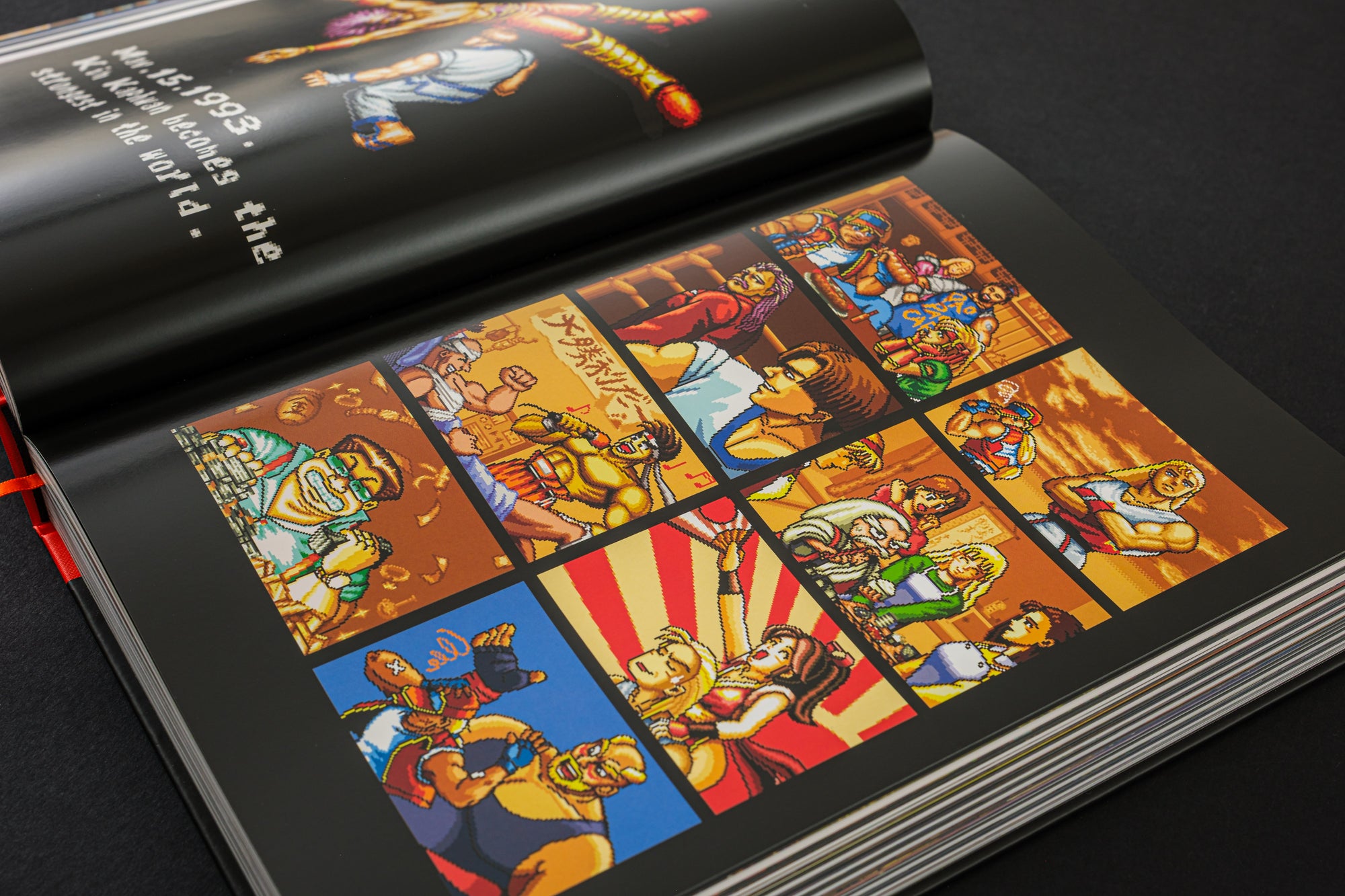 Fatal Fury/Garou Densetsu: The Ultimate History