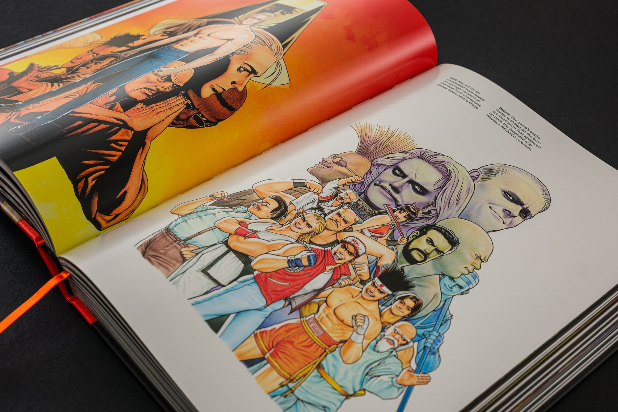 Fatal Fury/Garou Densetsu: The Ultimate History