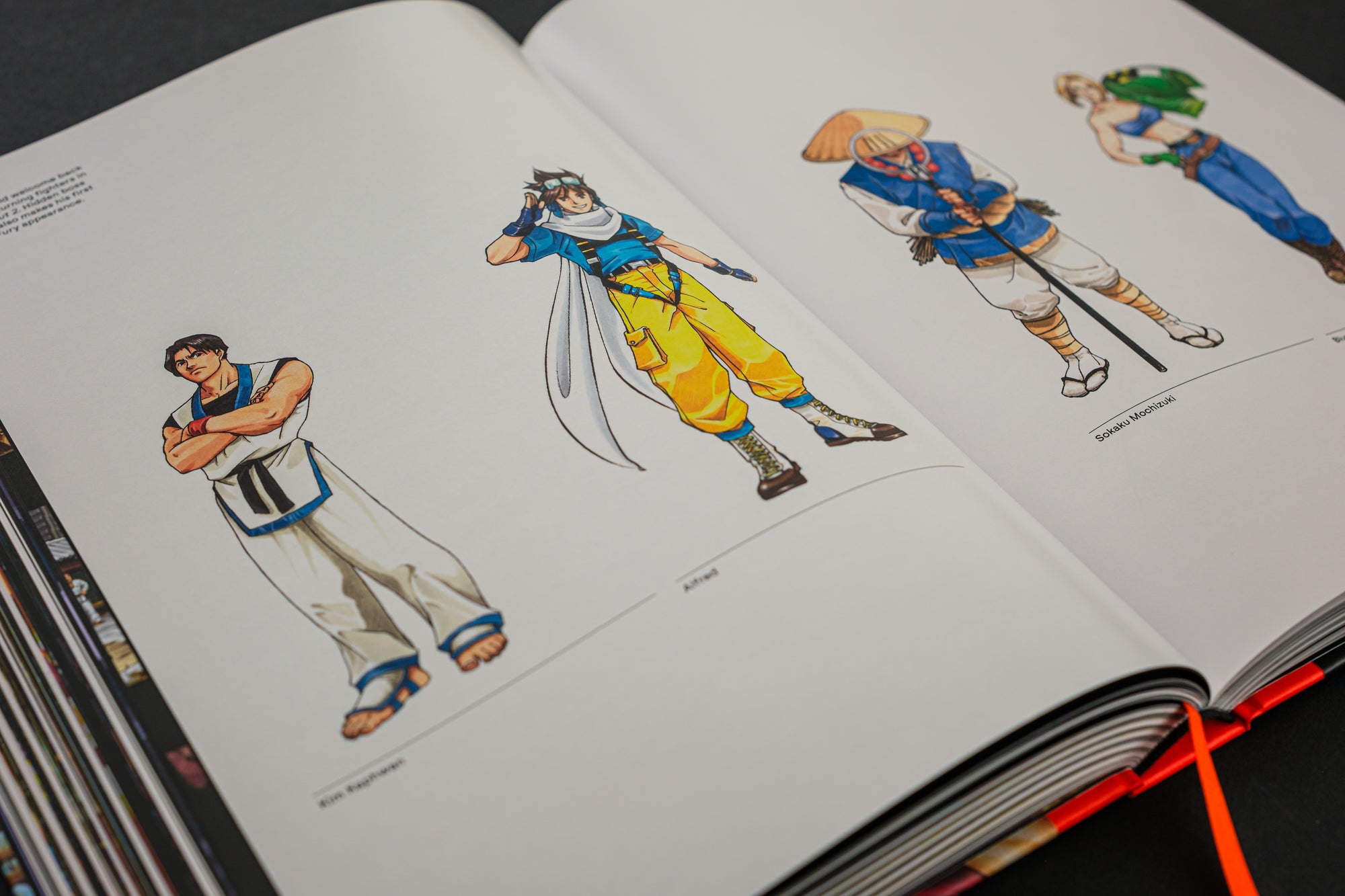Fatal Fury/Garou Densetsu: The Ultimate History