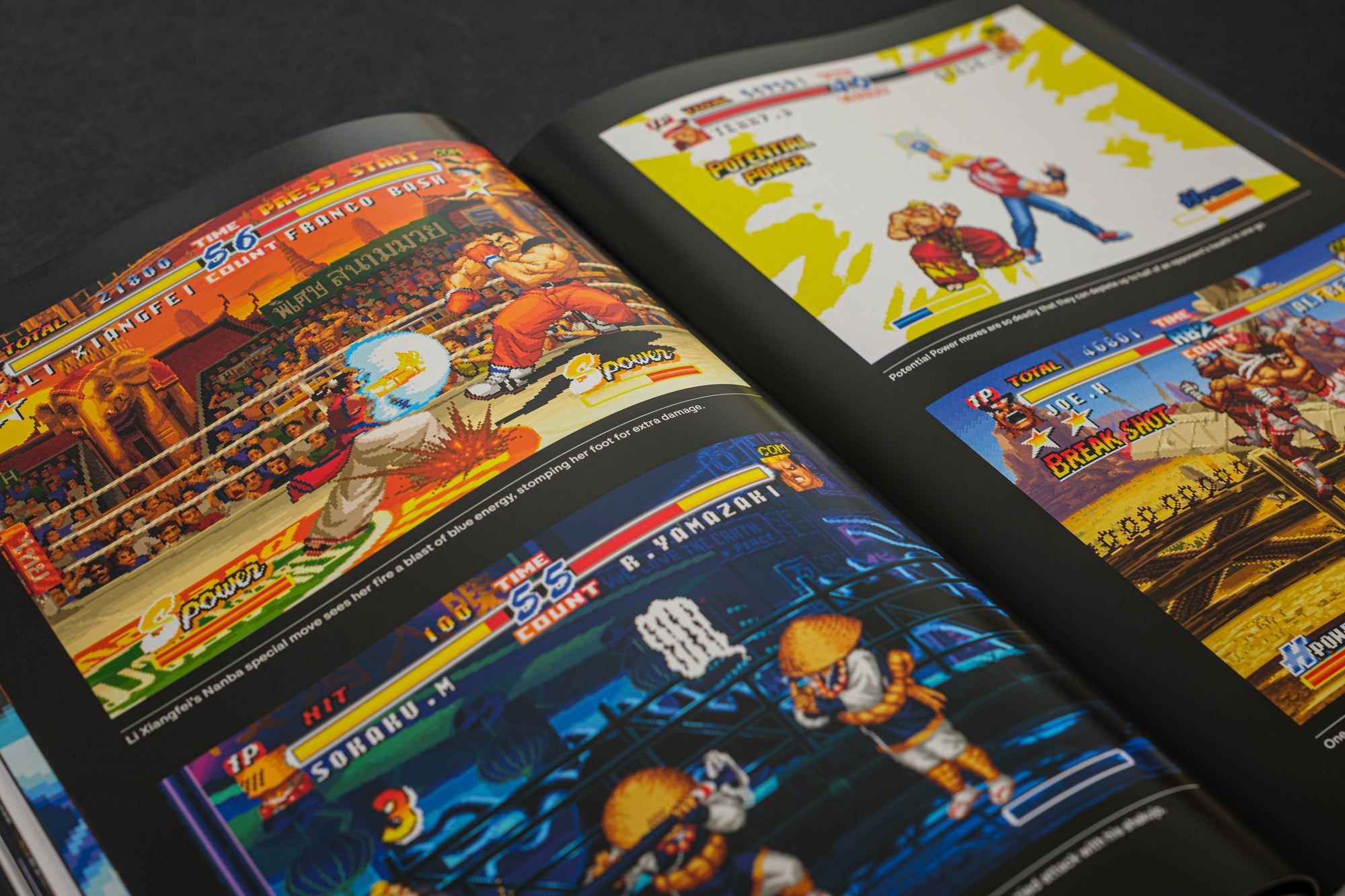 Fatal Fury/Garou Densetsu: The Ultimate History