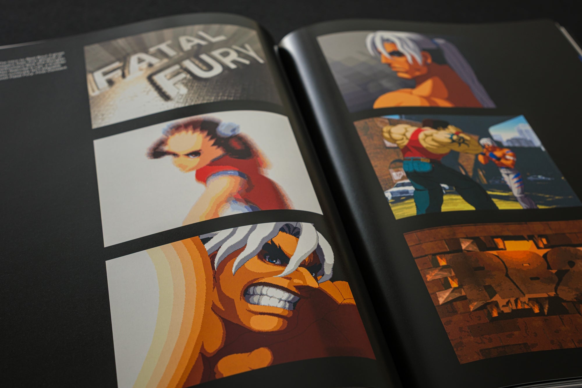 Fatal Fury/Garou Densetsu: The Ultimate History