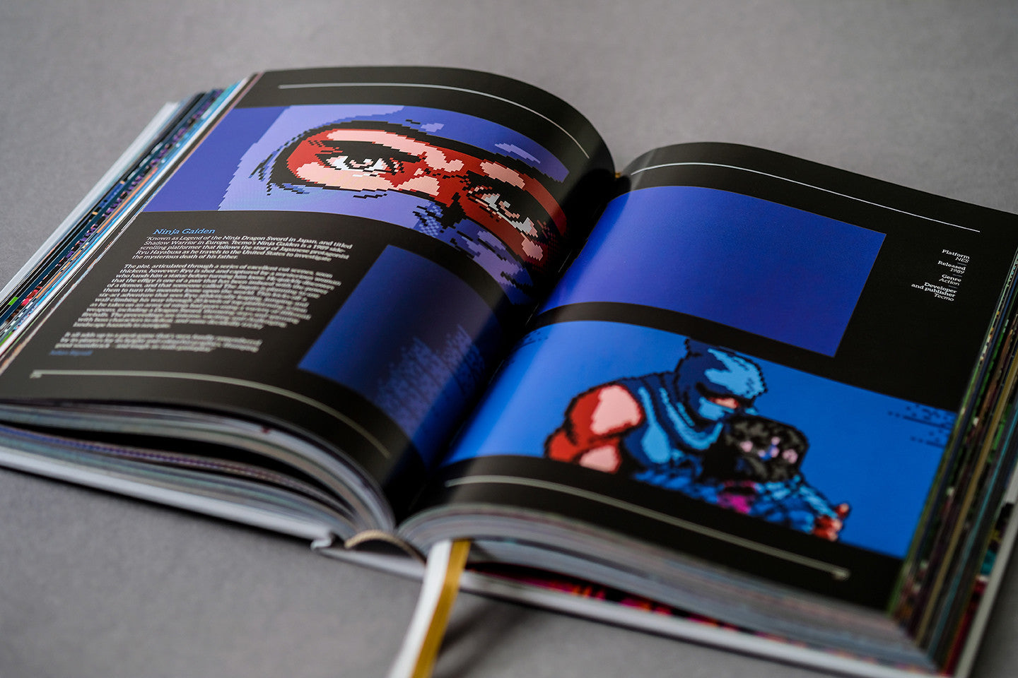 NES/Famicom: a visual compendium