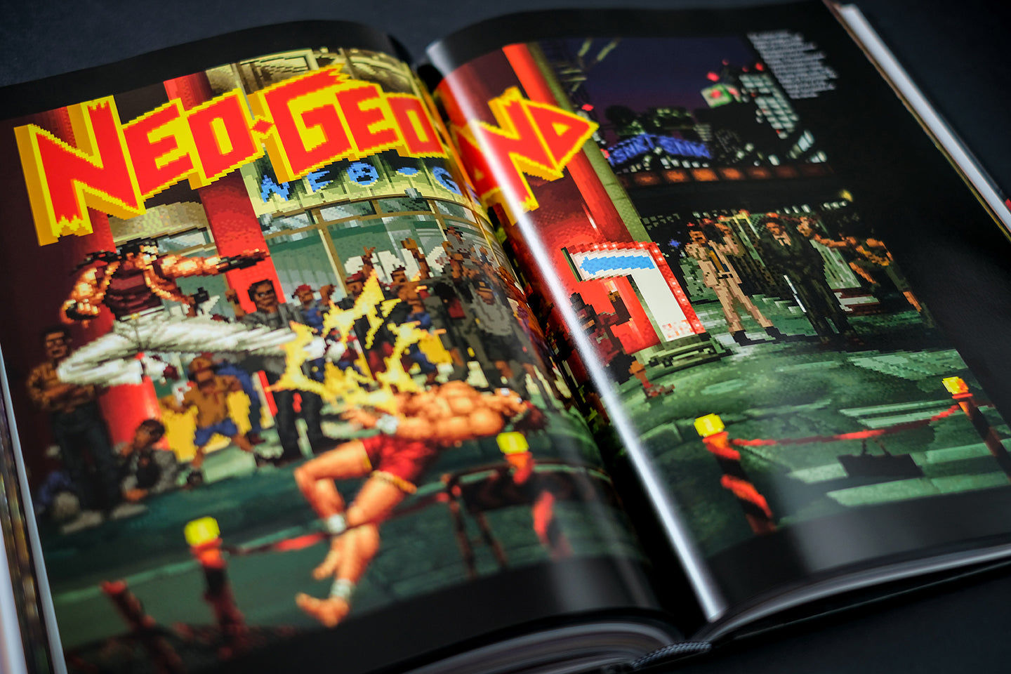 NEOGEO: A Visual History