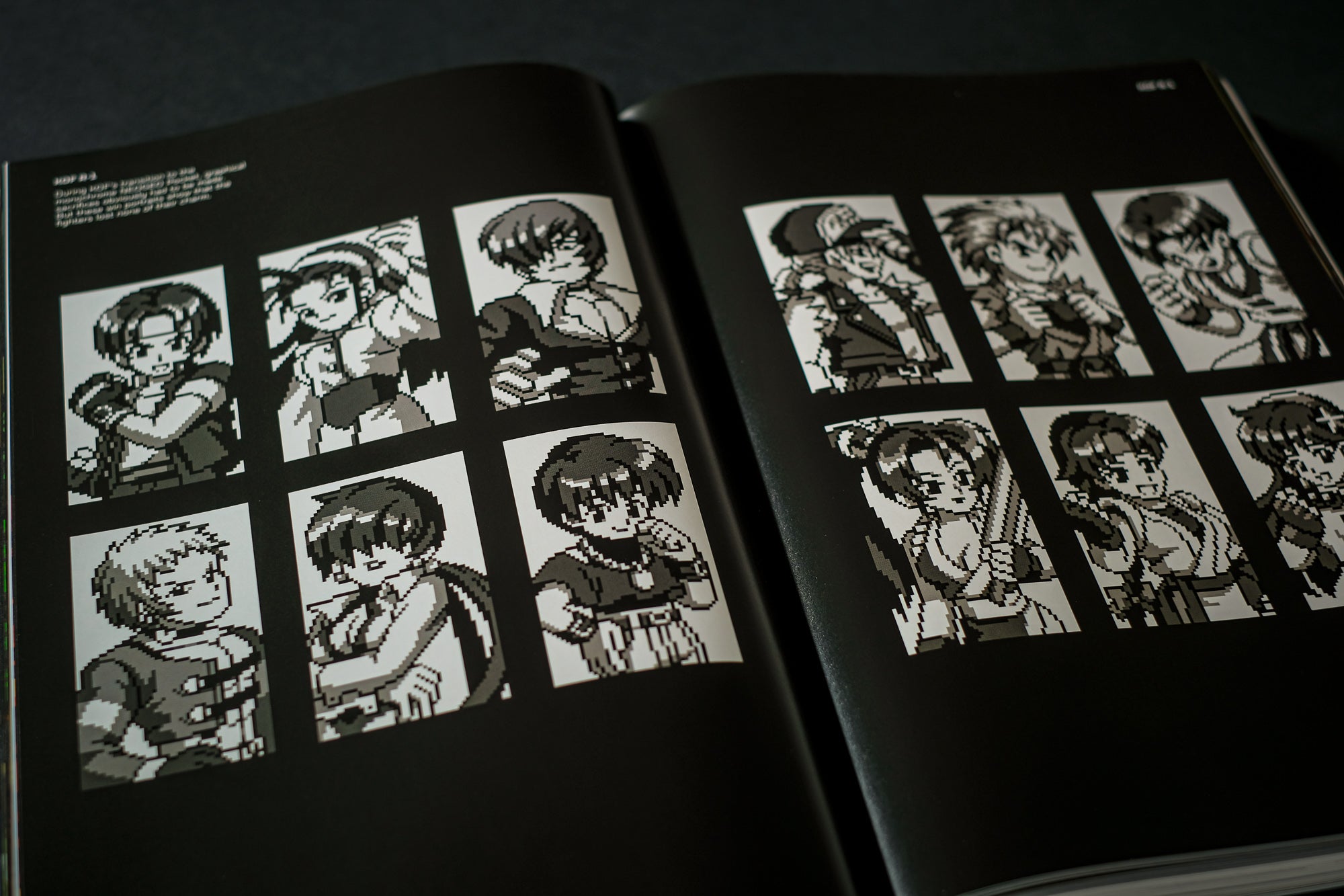 THE KING OF FIGHTERS: The Ultimate History